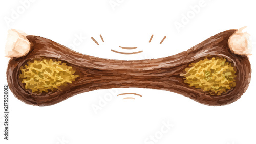 Принти на полотні Dubai chewy cookie stretchy illustration