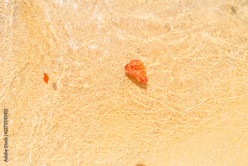 Obraz na płótnie Clear sand beach 