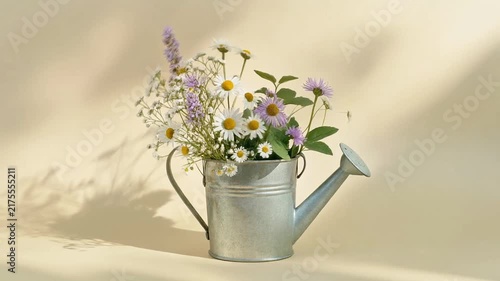Wildflowers arranged inside metal watering can creating beautiful decorative nature motion footage for spring design projects