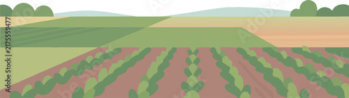 Japanese rice paddy field landscape vector illustration with copy space