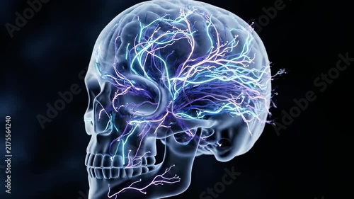Translucent human skull being scanned by blue laser beam.