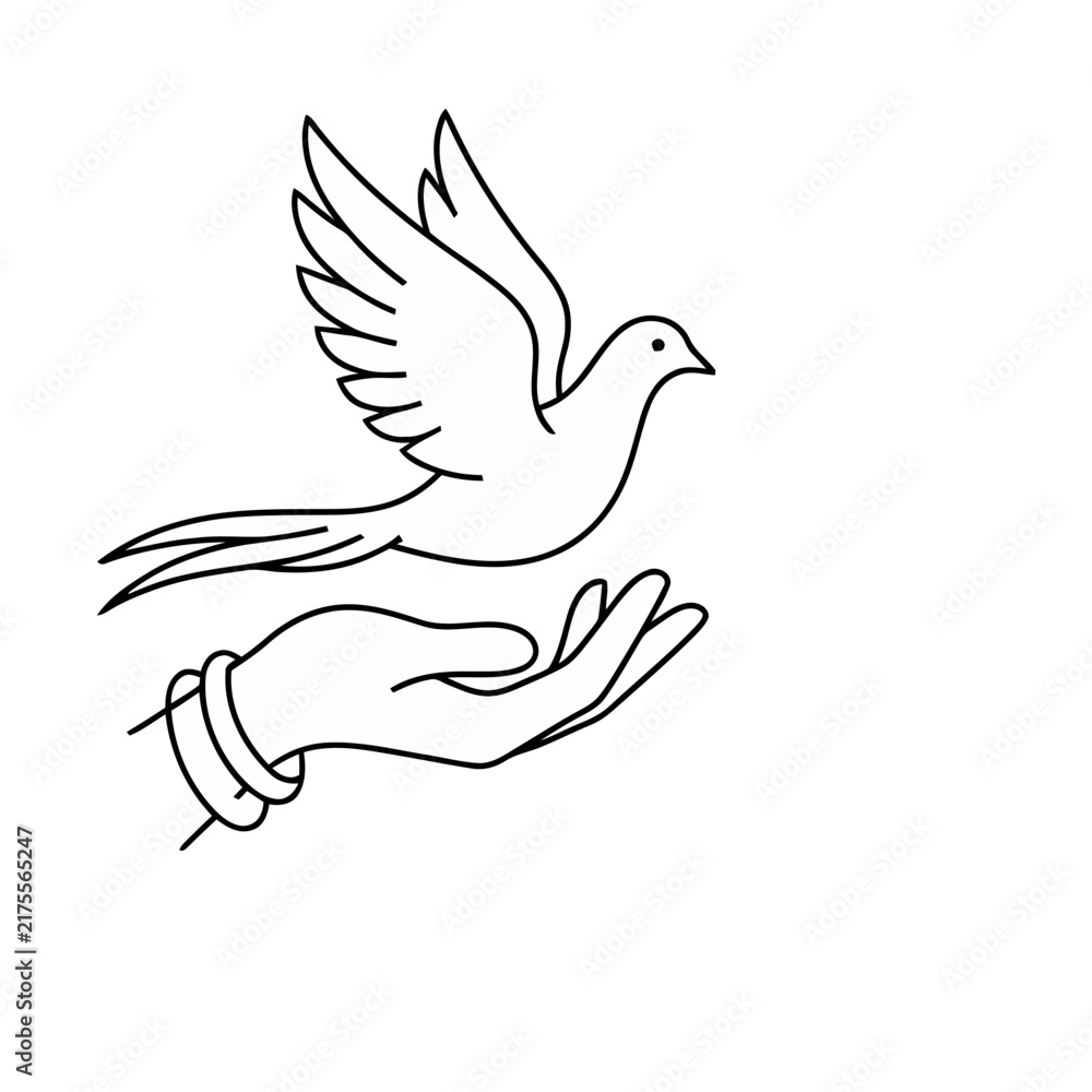Obraz premium Dove flying from open h