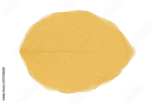 Una hoja de árbol de color amarillo dorado con forma ovalada y textura suave, aislada sobre un fondo blanco puro, ideal para diseños de otoño, proyectos de naturaleza o elementos gráficos decorativos.