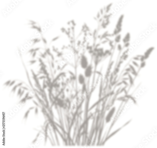 Wild meadow grass shadow overlay for aesthetic mockup