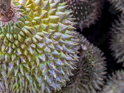 Fotografía A close up macro texture of sharp green durian thorns.
