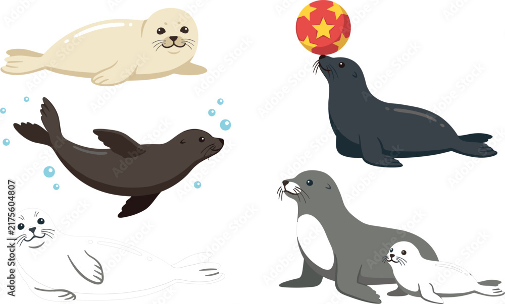 Fototapeta premium Cute Seal and Sea Lion Character Vector Set with Swimming Pup Mother and Circus Ball Elements for Marine Wildlife and Aquarium Graphic Designs