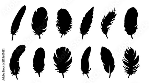 Collection of twelve isolated bird feather silhouettes in black vector style for creative design projects and artistic graphic elements