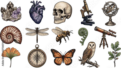 Canvas Print Vintage Cabinet of Curiosities and Natural History Icon Set with Skull Crystals