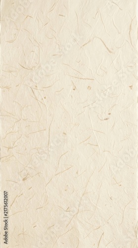 Handmade Japanese Washi Paper Texture with Natural Fibers and Subtle Imperfections.