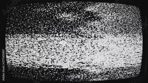 A disturbing black and white television snow pattern fills the complete visual field, producing a hypnotic retro horror aesthetic.