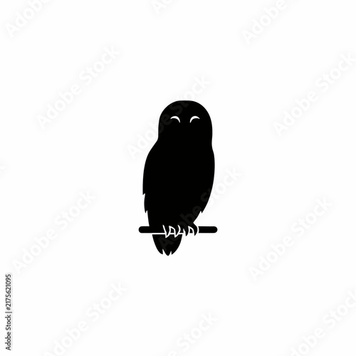 owl on a white background
