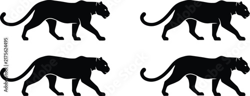 Photography panther walking silhouette vector set wild predator leopard jaguar cougar animal