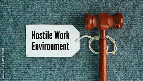 Quadro su tela Hammer the judge and tag the paper with the words Hostile Work Environment