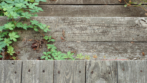 rustic worn wooden porch stairs viewed from above