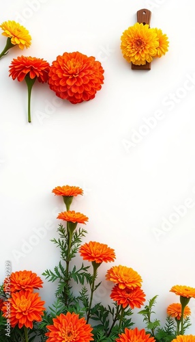 Vibrant Mexican marigold altars adorn a white background, flowers, ritualistic
