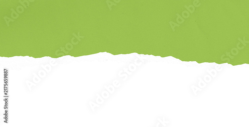 Green Torn Paper Edge
