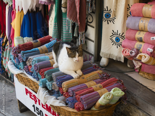 Fototapeta イスタンブールの露店に並ぶトルコタオルの上で丸くなる白黒猫