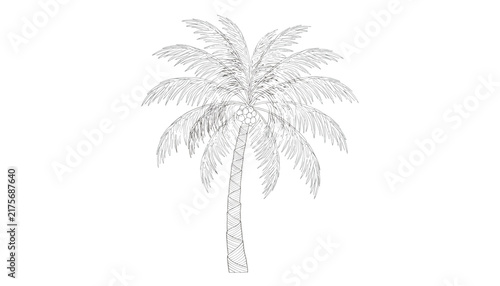 Detailed retro engraving style black and white line drawing of a single tropical palm tree on a solid white background.