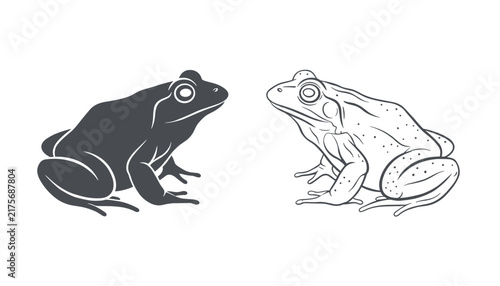 Pair of frog illustrations showing one solid dark silhouette and one detailed line art drawing of the same amphibian.