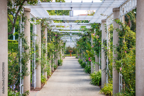 Foto Pergola walkway in the Huntington Library, Art Museum, and Botanical Gardens Ros