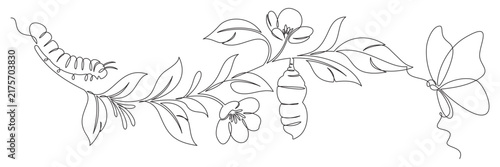 A continuous line of butterflies and pupae on the leaves of a flowering branch.eps
