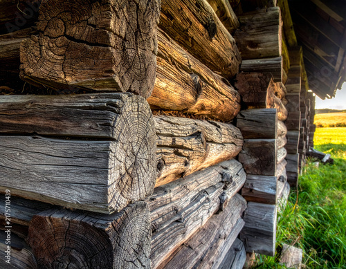 Rustic Weathered Log Cabin Corner Texture with Green Grass Field