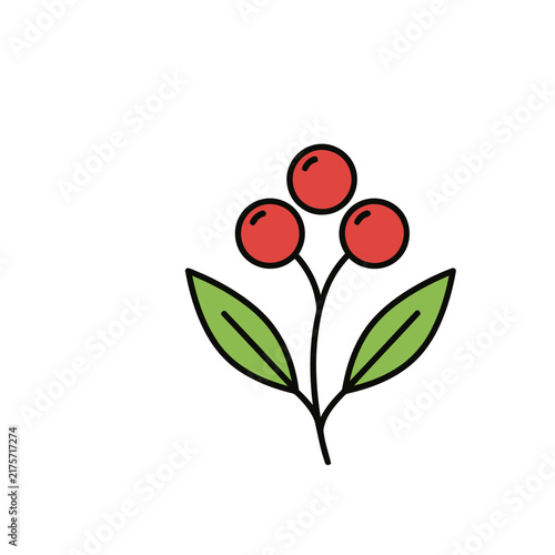 Red Berries and Green Leaves Vector