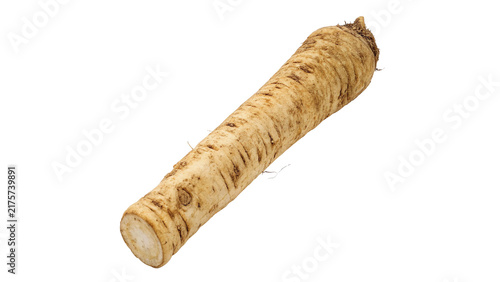 Fresh raw whole horseradish root vegetable for cooking isolated on transparent background