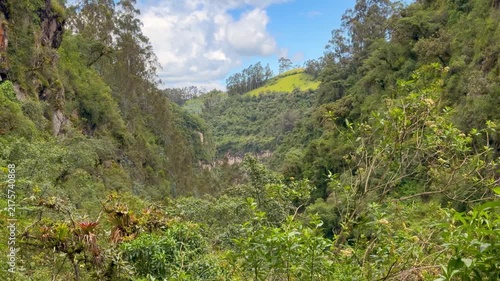 A deep green ravine with a thin waterfall running down the rock face in the Ecuadorian highlands, surrounded by bright pasture and dense shrubs.