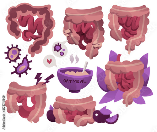 Intestines Vector Illustration Set for Digestive System Health Design
