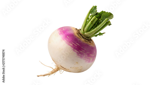 Foto Fresh purple top turnip with green stem isolated on transparent background for agricultural produce concepts