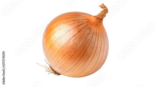 Obraz na płótnie Fresh whole golden onion bulb raw isolated on transparent background for healthy diet cooking ingredient illustrations