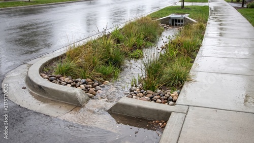 Bioswale filtering runoff along an empty urban street