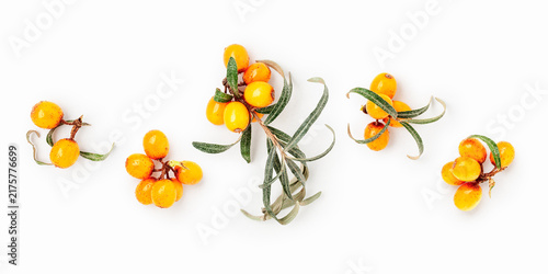 Canvastavla Fresh sea buckthorn berries isolated on white background