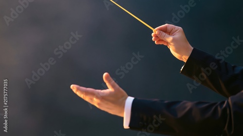 Bandleader directs