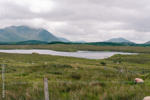 Fotografie Twelve Bens mountain range, a rugged chain of peaks rising above the scenic Connemara landscape in western Ireland - County Galway, Ireland - 31 August 2026