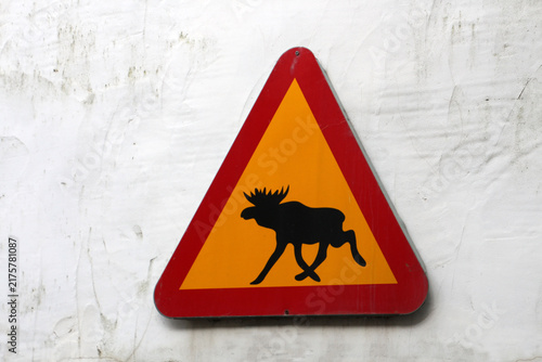 Quadro su tela Beware of Moose warning sign on the wall of a house in Scotland