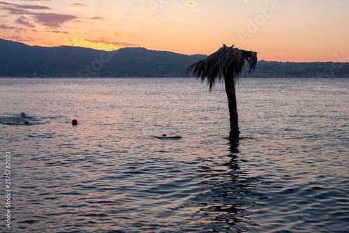 A palm tree fixed inside the water of the Mediterranean Sea in the panorama of the Strait of Messina at sunset