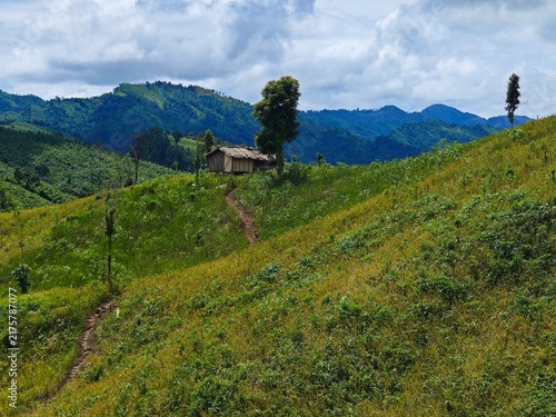 Photography Bamboo house in the mountains