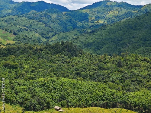 Photography Bamboo house in the mountains