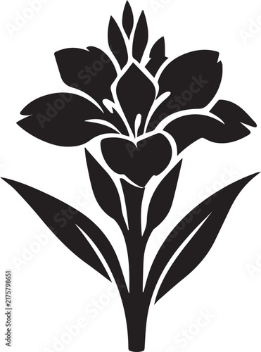 A minimalist black and white graphic illustration featuring a beautiful blooming tropical flower in a bold artistic silhouette