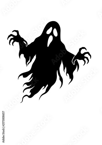 Ghost vector