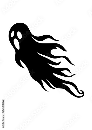 Ghost vector