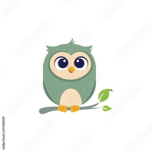owl vector illustration
