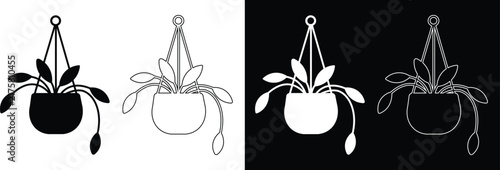 Hanging macrame potted plant spider plant with trailing stems in a pot vector icon set featuring solid silhouettes, linear outlines, and inverted black and white variations.