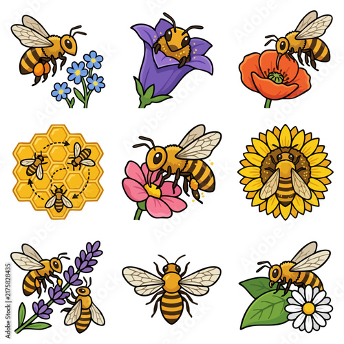 Various illustrations of bees interacting with flowers and honeycomb designs