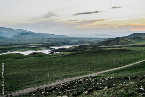landscape in the mountains