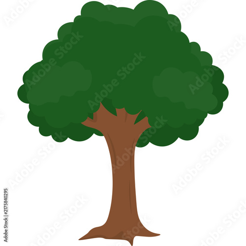 Tree Illustration