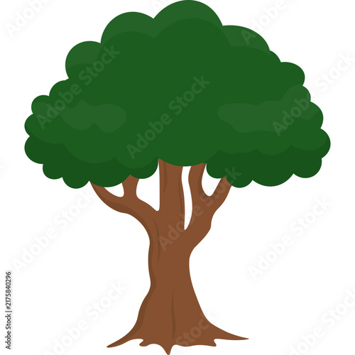 Tree Illustration