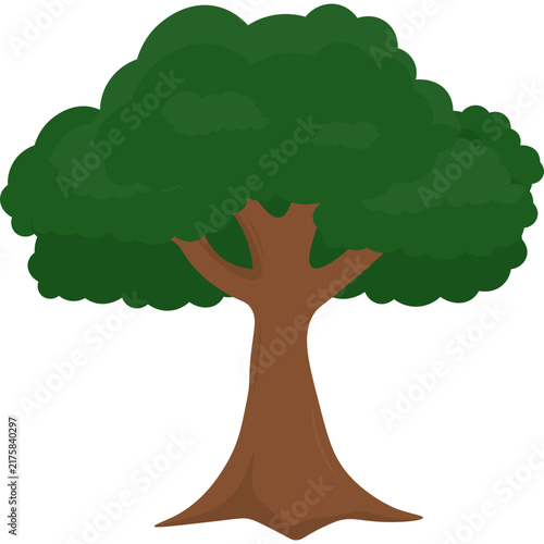 Tree Illustration